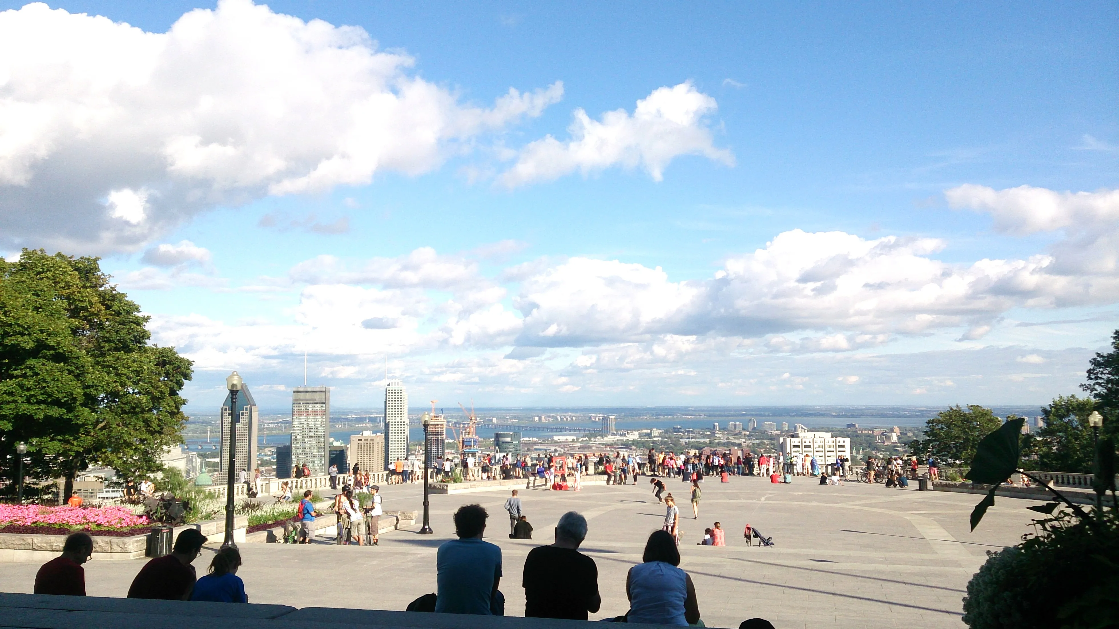 機内からの風景